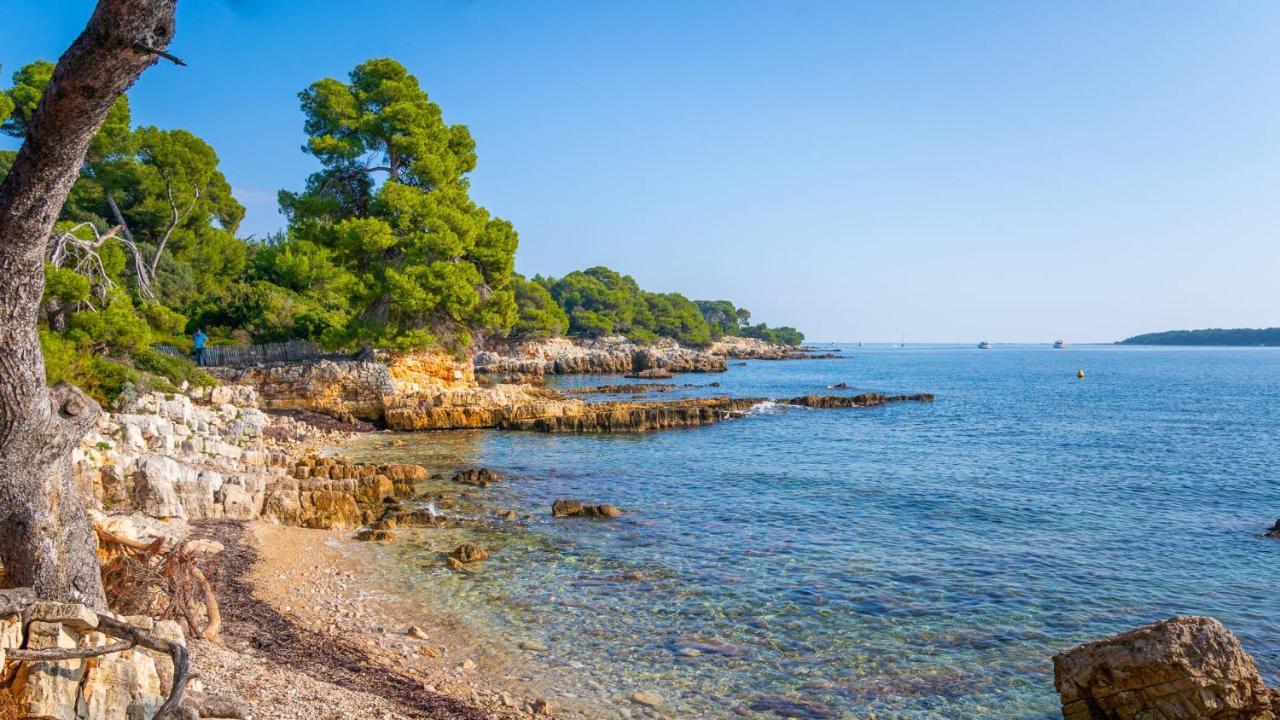 Rez-De-Villa Mougins Luaran gambar